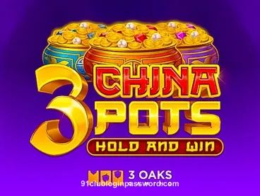 3 China Pots